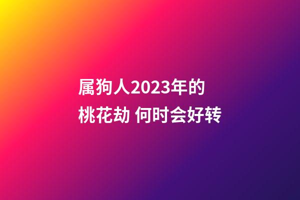 属狗人2023年的桃花劫 何时会好转